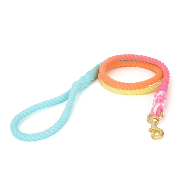 Color Pet Traction Gradient Rainbow: The Perfect Companion for Your Dog